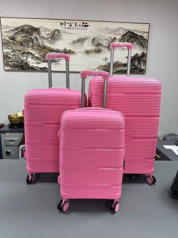 OEM Business Carry-On 20 24 28 pouces PP valise de voyage pour les voyages et le travail