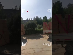 Bagages pour enfants à l' épreuve de l' humidité Multiscène avec fermeture à fermeture à glissière