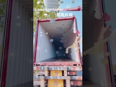 Coffre à bagages pour enfants multicolores 30L avec poignée télescopique